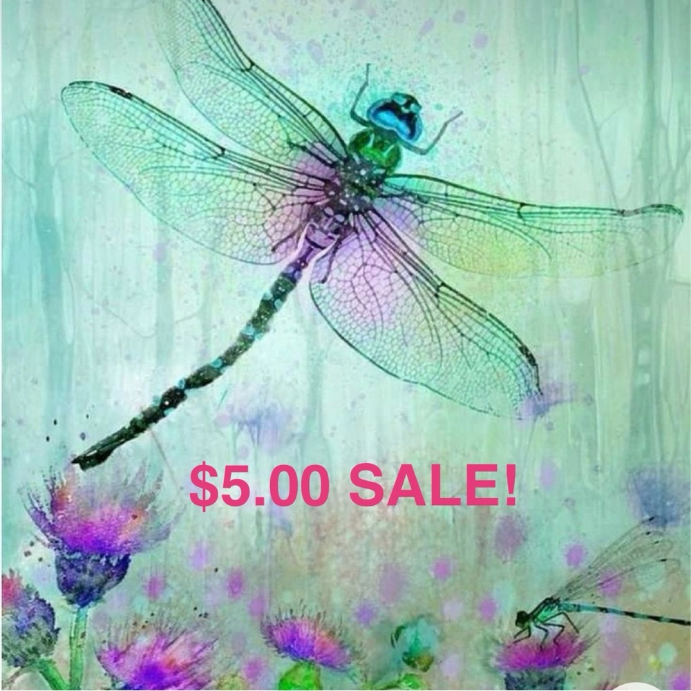 $5.00 SALE